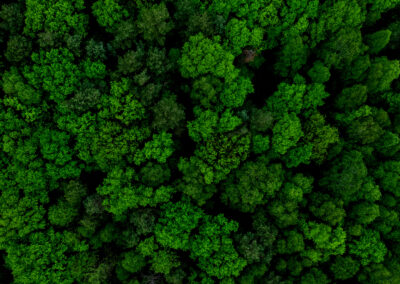 Hurdles and promises of green ethylene production in the UK