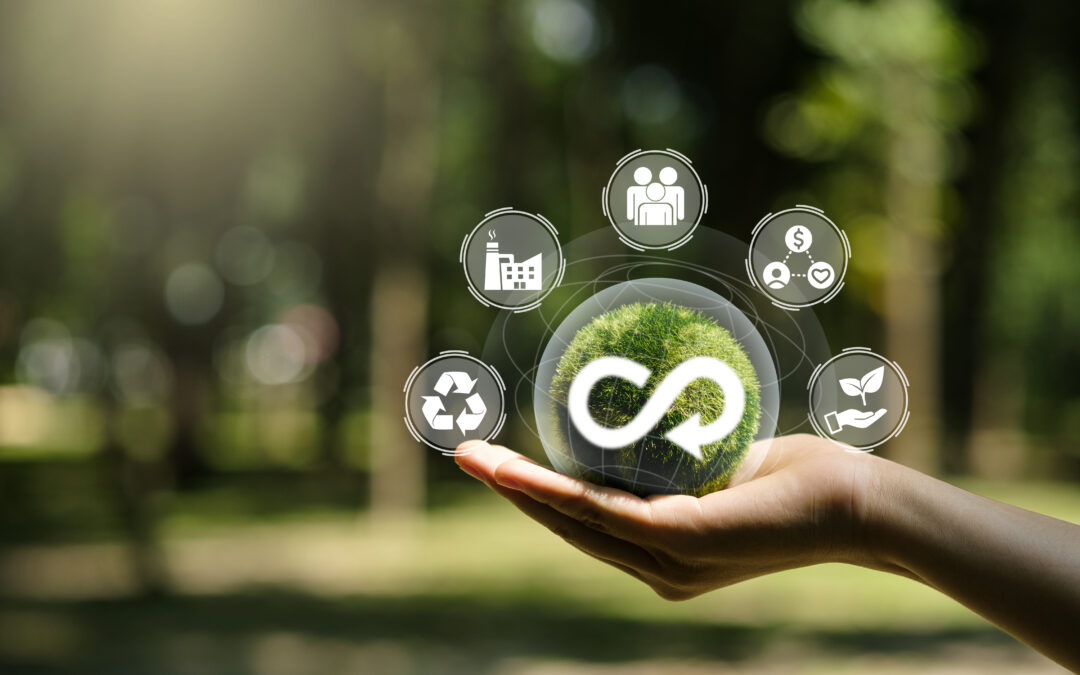 Circular production systems: ethylene, surfactants and plastics