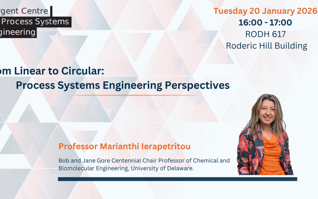 Seminar series:     Professor Marianthi Ierapetritou