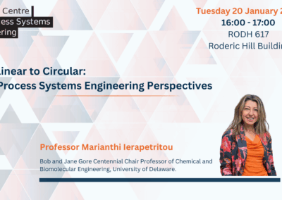 Seminar series:     Prof Marianthi Ierapetritou